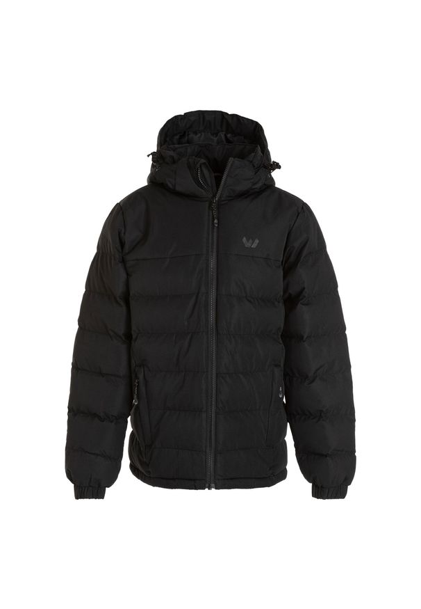 Kurtka dziecięca z kapturem Whistler Carseno. Typ kołnierza: kaptur. Kolor: czarny. Materiał: puch