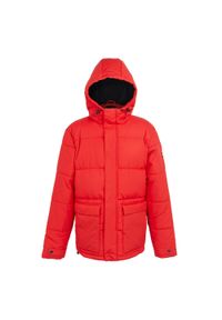 Kurtka z kapturem Regatta Falkner. Typ kołnierza: kaptur. Kolor: czerwony. Materiał: puch. Sport: turystyka piesza