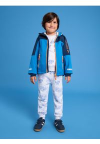 Sinsay - Spodnie dresowe 2 pack - szary. Kolor: szary. Materiał: dresówka. Długość: długie
