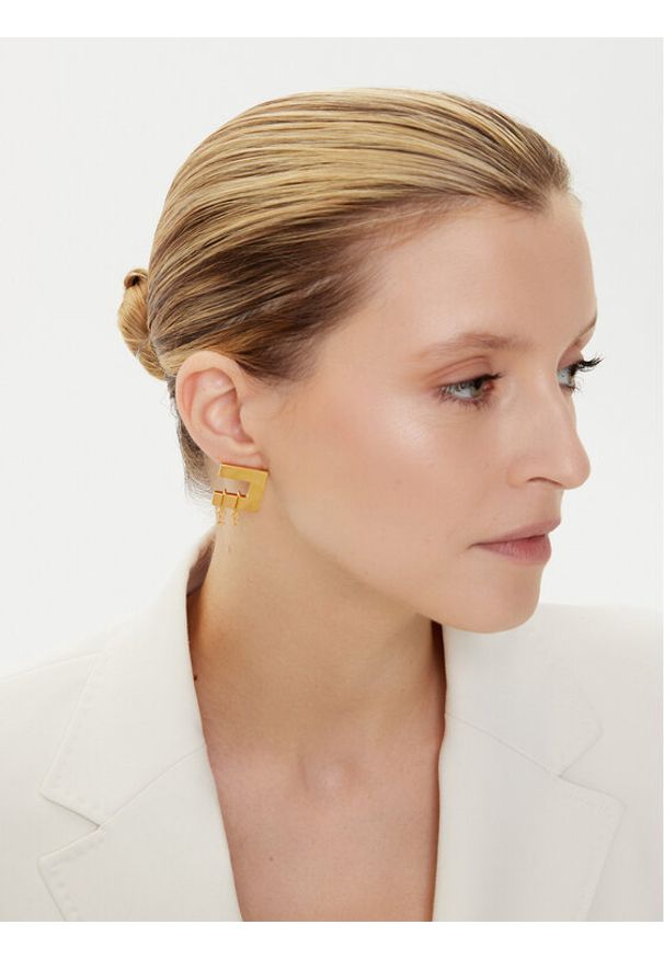 Elisabetta Franchi Kolczyki OR-04A-56E2-V140 Złoty. Materiał: metalowe. Kolor: złoty
