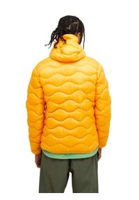 Kurtka Peak Performance puchowa męska Helium Down Hood Jacket pomarańczowa - M. Kolor: pomarańczowy. Materiał: puch