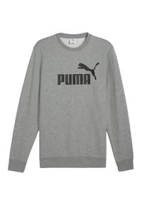 Puma - Bluza Męska Logo Dekolt W Szpic Essentials No 1. Kolor: szary