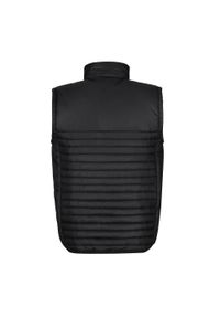 Regatta - Męska Ocieplana Kamizelka Z Recyklingu Honestly Made. Kolor: czarny. Sport: turystyka piesza #2