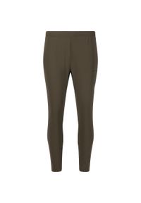 ENDURANCE - Spodnie Endurance Dyne. Kolor: zielony. Sport: bieganie #1