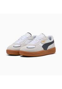 Puma Buty Palermo Moda 39772708. Kolor: beżowy #1