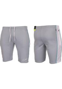 Spodenki sportowe męskie Nike NK Dry Academy M18 Short KZ FPJB. Kolor: szary