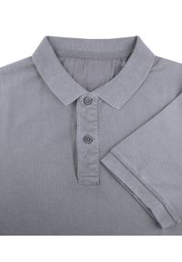Koszulka Polo, Męska - Adriano Guinari - Kolor Szary. Typ kołnierza: polo. Kolor: szary. Materiał: bawełna. Styl: klasyczny