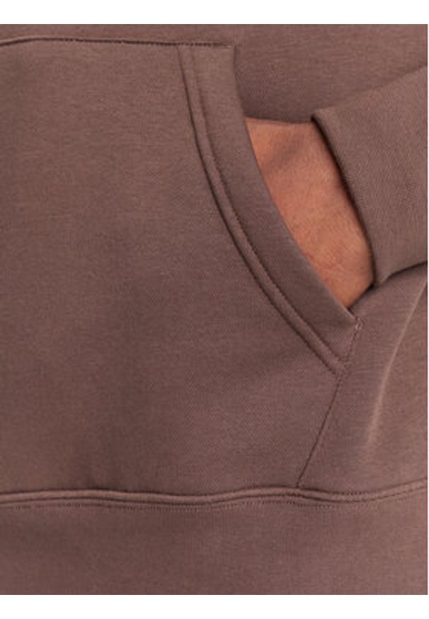 Quiksilver Bluza Salt Water Hoodie EQYFT05159 Brązowy Regular Fit. Kolor: brązowy. Materiał: bawełna