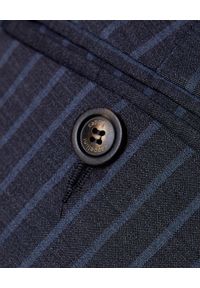 CAPPELLINI - Szare spodnie w prążki. Kolor: szary. Materiał: prążkowany, wełna, materiał. Wzór: prążki