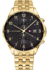 Zegarek Tommy Hilfiger ZEGAREK MĘSKI TOMMY HILFIGER 1791708 WEST (zf018b) #1