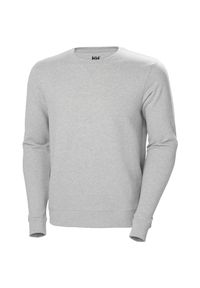 Bluza okrągły dekolt Helly Hansen PS. Kolor: szary. Materiał: materiał, bawełna #1