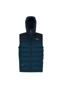 Regatta - Męski Ogrzewacz Do Ciała Aldthorn. Kolor: wielokolorowy, niebieski, żółty. Styl: sportowy. Sport: turystyka piesza #1