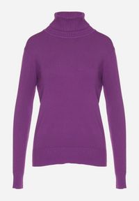 Born2be - Ciemnofioletowy Sweter z Golfem z Domieszką Kaszmiru i Wiskozy Zaisma. Okazja: na co dzień. Typ kołnierza: golf. Kolor: fioletowy. Materiał: kaszmir, wiskoza. Długość rękawa: długi rękaw. Długość: długie. Styl: casual, elegancki #4