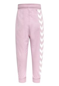 Spodnie dresowe dla dzieci Hummel Fast Apple. Kolor: różowy. Materiał: dresówka. Sport: joga i pilates, bieganie
