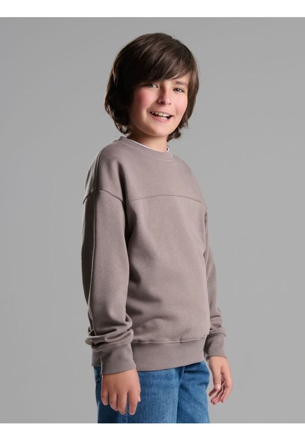 Sinsay - Bluza crewneck basic - brązowy. Kolor: brązowy