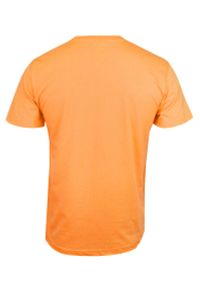 Stedman - Pomarańczowy Bawełniany T-Shirt Męski Bez Nadruku -STEDMAN- Koszulka, Krótki Rękaw, Basic, U-neck. Okazja: na co dzień. Kolor: pomarańczowy. Materiał: bawełna. Długość rękawa: krótki rękaw. Długość: krótkie. Styl: casual