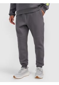 4f - 4F Spodnie dresowe joggery męskie - szare XXL. Kolor: szary. Materiał: dresówka #2