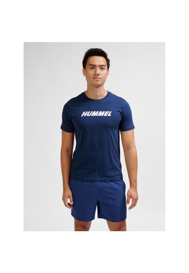 Koszulka z logo Hummel Elemental. Kolor: zielony, niebieski, wielokolorowy. Sport: piłka nożna