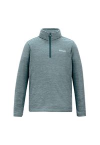 Regatta - Polarowy Top Dziecięcy Krótki Suwak Hot Shot. Kolor: zielony. Materiał: polar. Długość: krótkie. Sezon: zima. Sport: turystyka piesza #1