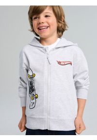 Sinsay - Bluza Hot Wheels - szary. Kolor: szary