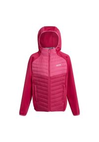 Regatta - Kurtka hybrydowa dziecięca Kielder VIII. Typ kołnierza: kaptur. Kolor: różowy. Materiał: puch. Styl: sportowy #1