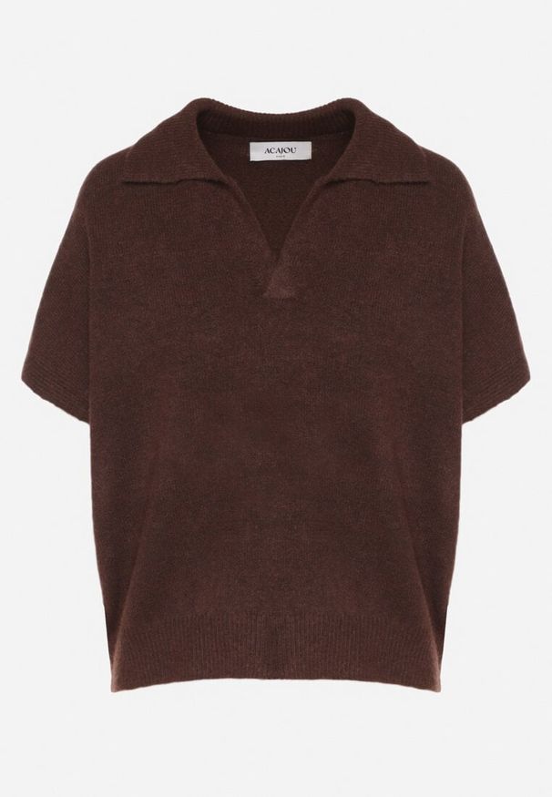 Born2be - Brązowy Sweter z Wełną z Krótkim Rękawem i Kołnierzykiem Tevalina. Kolor: brązowy. Materiał: wełna. Długość rękawa: krótki rękaw. Długość: krótkie. Styl: klasyczny, elegancki