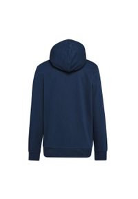 Diadora - Bluza męska DIADORA HOODIE BIG LOGO. Kolor: niebieski