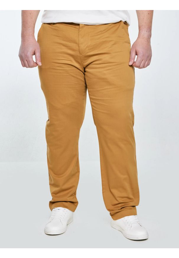 Big-Star - Spodnie męskie chinosy jasnobrązowe Trevor 802. Okazja: na co dzień. Kolor: brązowy. Materiał: tkanina, materiał. Wzór: haft. Styl: casual, elegancki, klasyczny