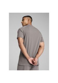 Puma - Męska koszulka PUMATECH PUMA Cast Iron Gray. Kolor: szary. Długość rękawa: raglanowy rękaw. Wzór: aplikacja, nadruk. Sport: fitness