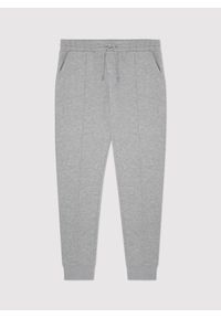 Pako Lorente - Dzianinowe spodnie dresowe w szarym kolorze. Okazja: na co dzień. Kolor: szary. Materiał: dresówka, dzianina. Wzór: gładki. Styl: casual #5