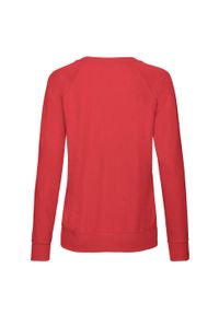 FRUIT OF THE LOOM - Lekki Sweter Raglanowy Dla Kobiet. Kolor: czerwony. Długość rękawa: raglanowy rękaw