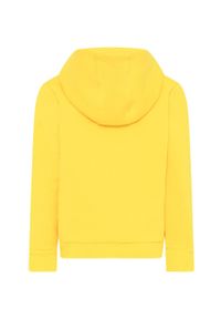 LEGO Wear - Lego Wear bluza dziecięca kolor żółty z kapturem z aplikacją. Okazja: na co dzień. Typ kołnierza: kaptur. Kolor: żółty. Wzór: aplikacja. Styl: casual #2