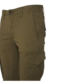 Jack & Jones Spodnie materiałowe Paul Flake 12141844 Zielony Tapered Fit. Kolor: zielony. Materiał: bawełna #3