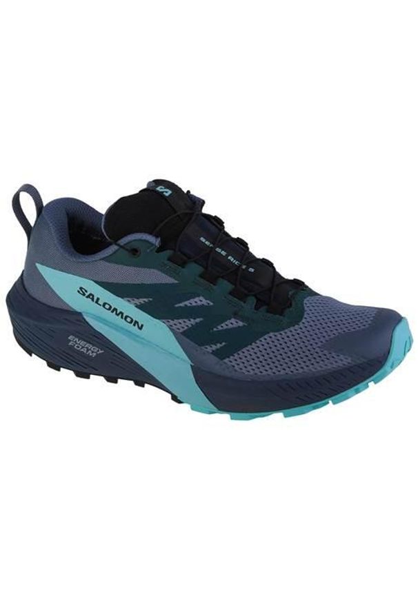 salomon - Buty do biegania męskie Salomon Sense Ride 5 Gtx. Kolor: niebieski. Materiał: tkanina, materiał, syntetyk. Szerokość cholewki: normalna