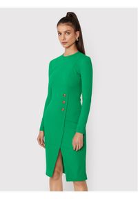 Pinko Sukienka codzienna Altea 1G1892 1739 Zielony Regular Fit. Okazja: na co dzień. Kolor: zielony. Materiał: wiskoza. Typ sukienki: proste. Styl: casual