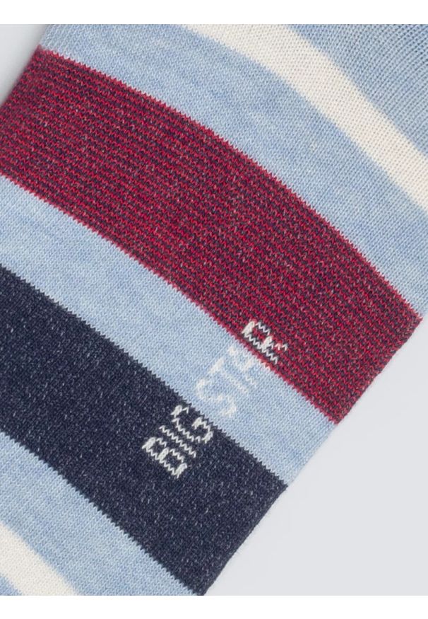 Big-Star - Skarpety bawełniane męskie w kolorowe paski niebieskie Ismaelo 401. Kolor: niebieski. Materiał: bawełna. Wzór: kolorowy, paski