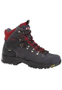 Buty turystyczne dla dorosłych Chiruca Dynamic GTX. Kolor: szary
