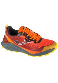 Joma - Męskie Buty Do Biegania Tundra. Kolor: czerwony. Sport: turystyka piesza