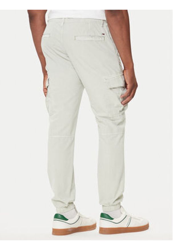 Tommy Jeans Joggery Austin DM0DM21791 Zielony Slim Fit. Kolor: zielony. Materiał: bawełna