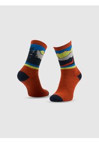 4f - 4F Skarpetki trekkingowe z wełną długie męskie - multikolor 39-42. Kolor: wielokolorowy. Materiał: wełna. Wzór: prążki. Sport: turystyka piesza #1