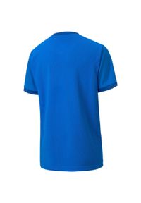 Podkoszulek Puma Teamgoal 23 Jersey Jr, Dzieci. Kolor: niebieski. Materiał: jersey, poliester