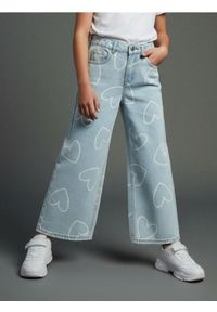 Sinsay - Jeansy wide leg z efektem sprania - szary. Kolor: szary #1