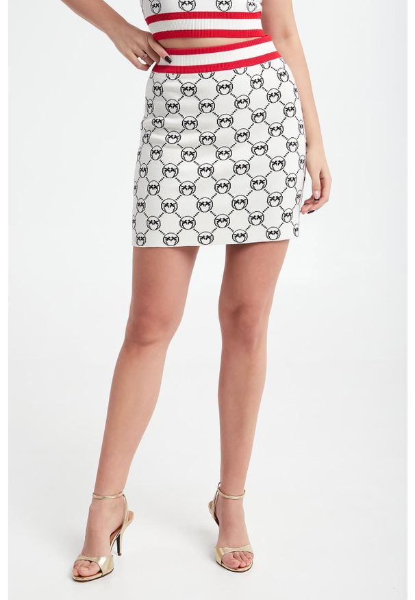 Pinko - Spódnica mini Adamite PINKO