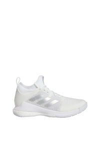 Buty do siatkówki dla dorosłych Adidas Crazyflight Mid Shoes. Kolor: biały, szary, wielokolorowy. Materiał: materiał. Sport: siatkówka