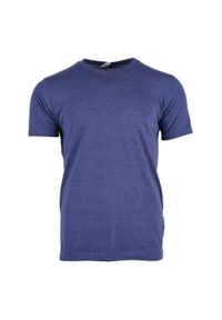 Hi-tec - T-shirt Męski Z Krótkim Rękawem Puro. Kolor: niebieski. Długość rękawa: krótki rękaw. Długość: krótkie. Sport: turystyka piesza #1