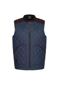 Regatta - Ocieplana Męska Pikowanie. Kolor: niebieski. Sport: turystyka piesza #1