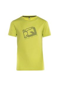 IQ - T-shirt Dziecięca Logo Colo II. Kolor: szary