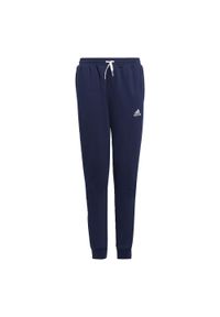 Adidas - Entrada 22 Sweat Pants. Kolor: niebieski. Materiał: polar, dresówka