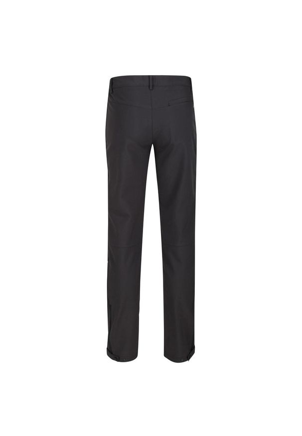 Regatta - Spodnie Trekkingowe Męskie Softshell Geo II. Kolor: szary, fioletowy, wielokolorowy. Materiał: softshell. Sezon: lato. Sport: turystyka piesza