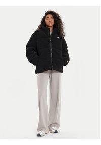 Ellesse Kurtka zimowa Berghutte SGX20918 Czarny Regular Fit. Kolor: czarny. Materiał: syntetyk. Sezon: zima
